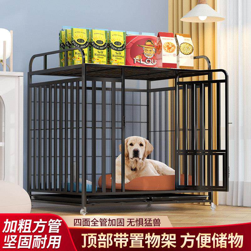 狗笼子小型中型犬室内带厕所边境牧羊犬小型宠物笼狗狗拉布拉多金