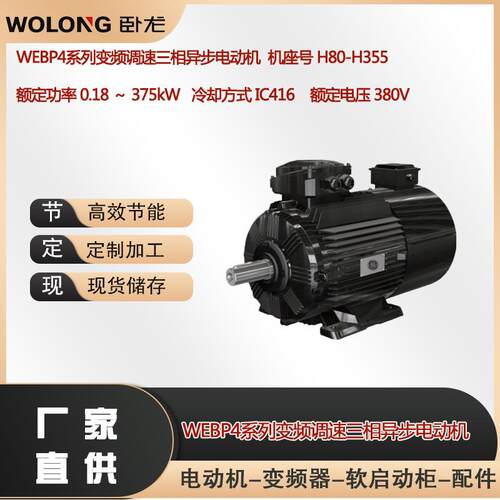 WEBP4-315M-2132W变频调速电机变频调速三相异步电动机