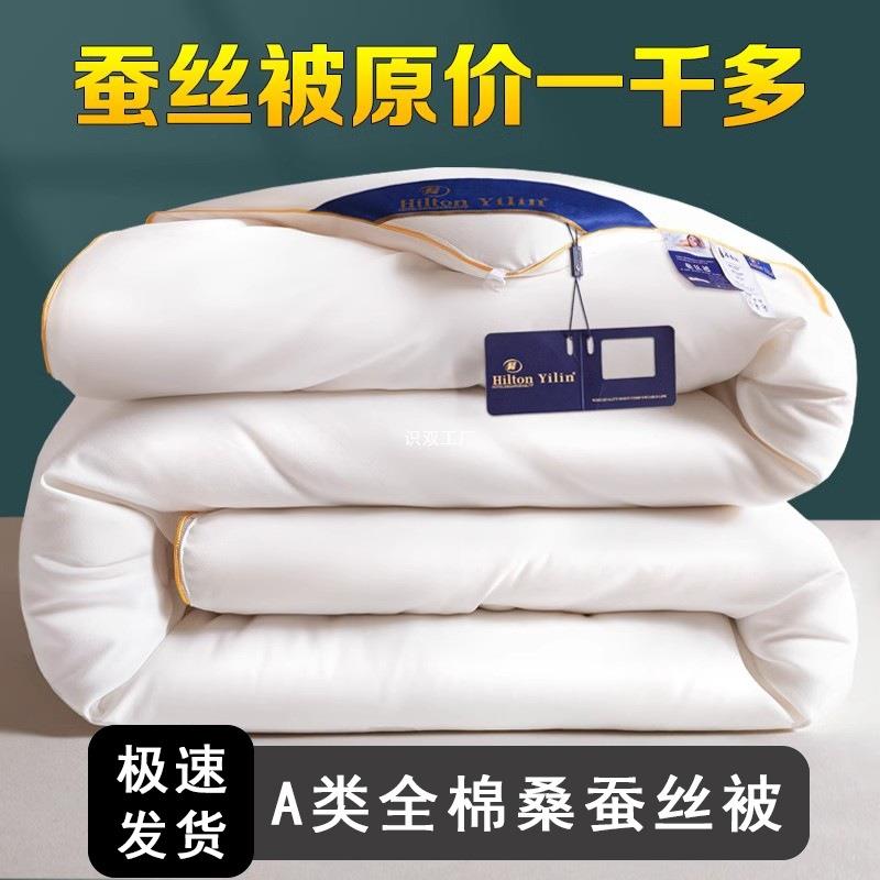 冬被夏凉被保暖高端加厚春秋被蚕丝被双人全棉被子芯纯棉桑蚕丝