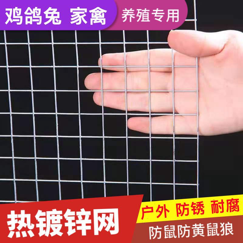 热浸镀锌铁丝网养殖圈地网围栏养鸡鸭兔鸽狗笼防鼠鸟黄鼠狼阳台防