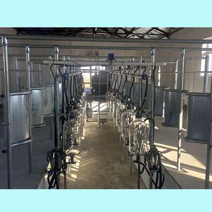 挤奶厅鱼骨式挤奶机奶牛羊用挤奶厅牧场大型挤奶设备自动挤奶机
