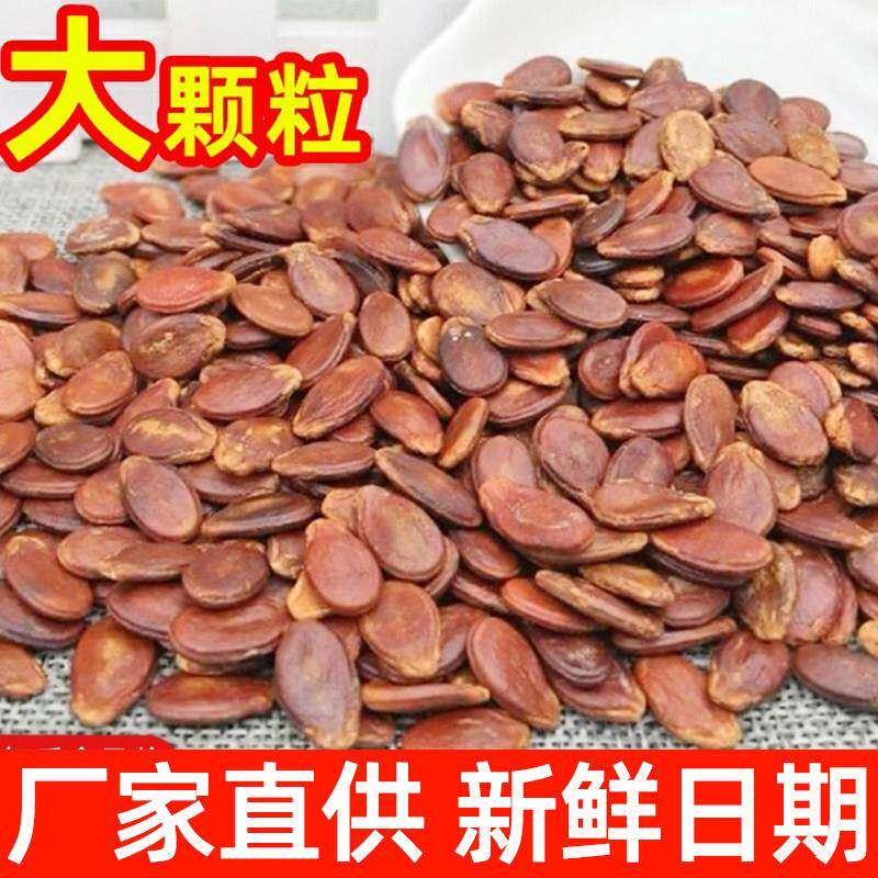 五香味红瓜子大片水煮红瓜子散装农家咸味五香味蒸汽炒熟盐西瓜子