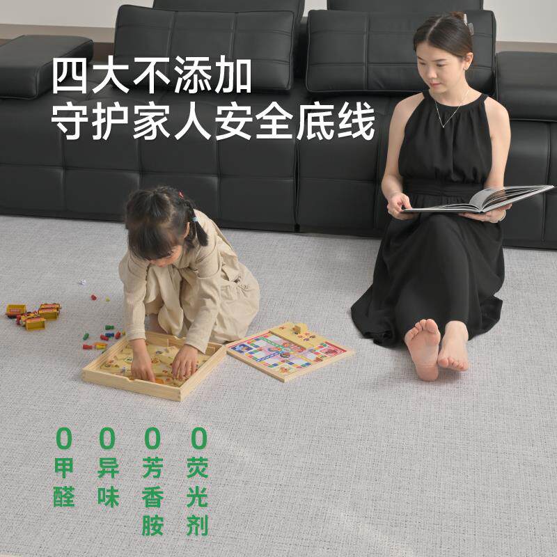 可拆洗地毯客厅2024新款意式可机洗卧室免洗可擦家用沙发茶几地垫