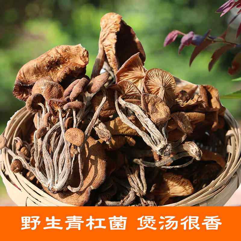 野生青杠菌青冈菌青岗炖鸡丝菌广元青川青刚蘑菇榛蘑新鲜干货200g