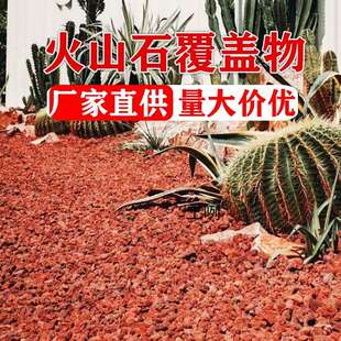 红色火山岩石园林覆盖物营养土介质花境树穴装饰花园庭院铺面造景