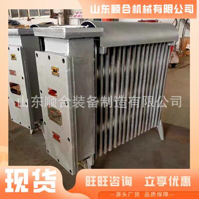 RBE-200/127()矿用取暖RB-2000/铸铁0井下A矿用取暖器矿用器电热