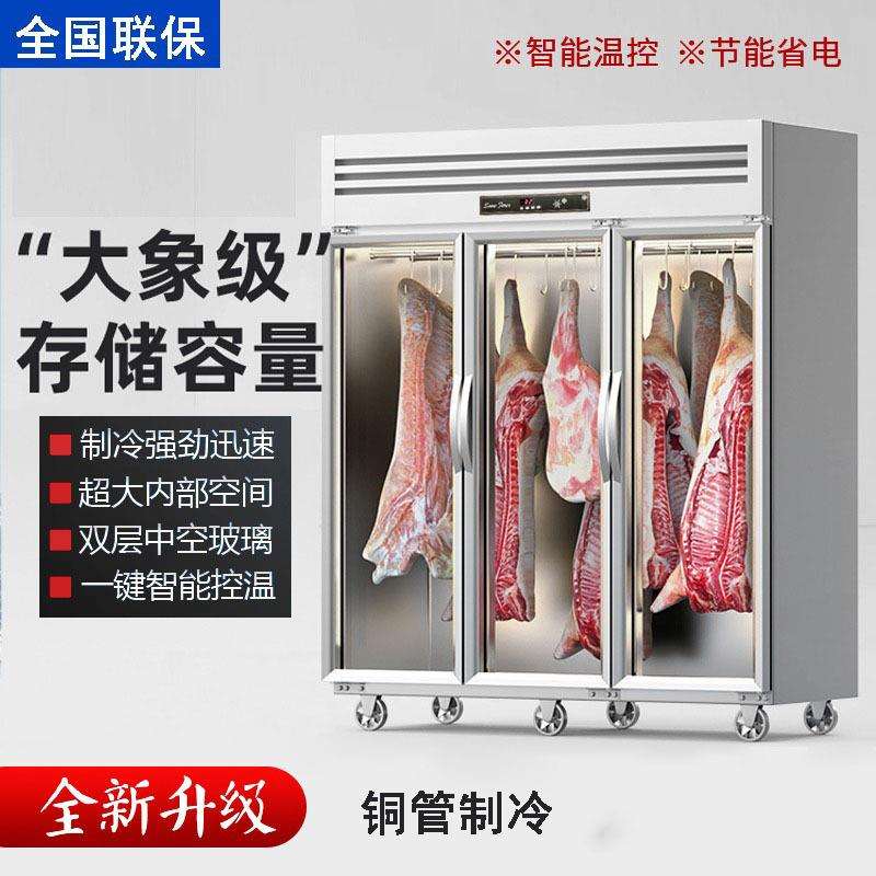 挂肉柜商用保鲜柜猪牛羊肉冷冻柜冷冻展示柜冷藏立式冷鲜肉排酸柜