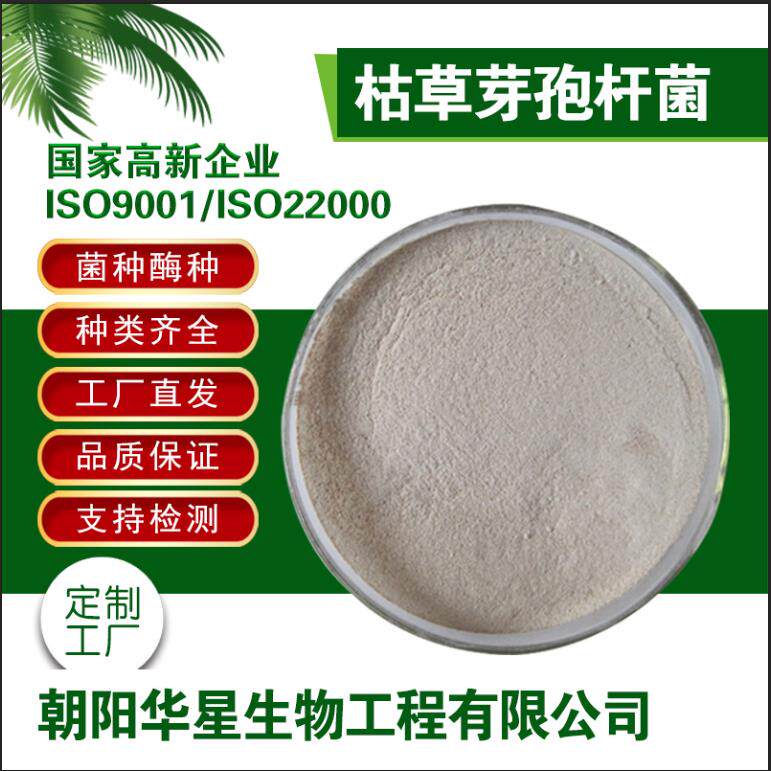 枯草芽孢杆菌1000亿2000亿水产净水改底农业种植饲用畜牧原菌粉
