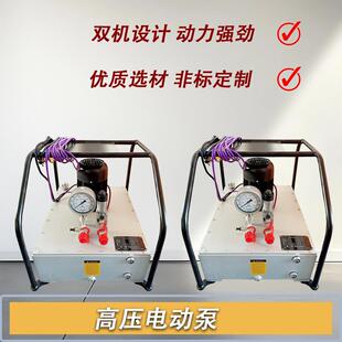 70液压电动泵液压拉伸器电动泵供应 高压电动泵HEP