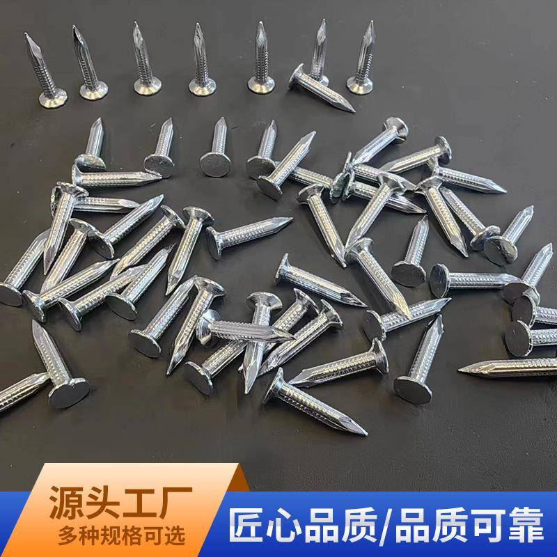 镀锌子轻型大帽钉2.6X25沥青瓦固钉平大定头帽钉水泥木头板钉现货