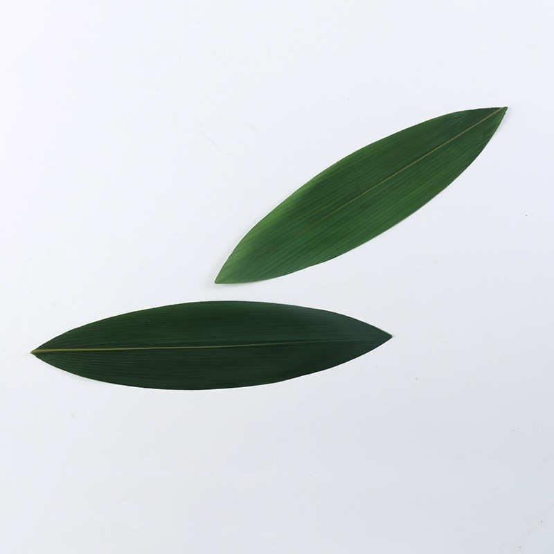 船型箬(粽)竹叶 恩施新鲜真空包装粽子叶 端午节100枚粽子长叶