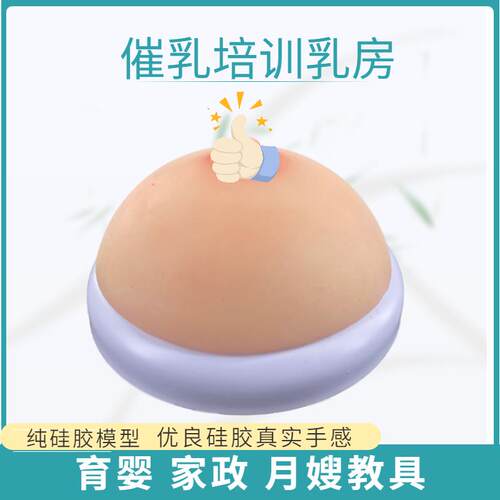 乳房模型义乳假乳/催乳师培训教具护理/乳房解剖模型哺乳教学玩具