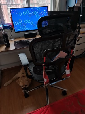 保友人体工学椅哪款好?一个月亲身体验真相