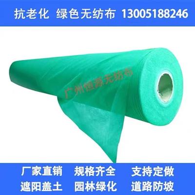 绿化无纺布绿色膜园林工地防尘盖土布护坡边坡草坪种草无纺布整卷