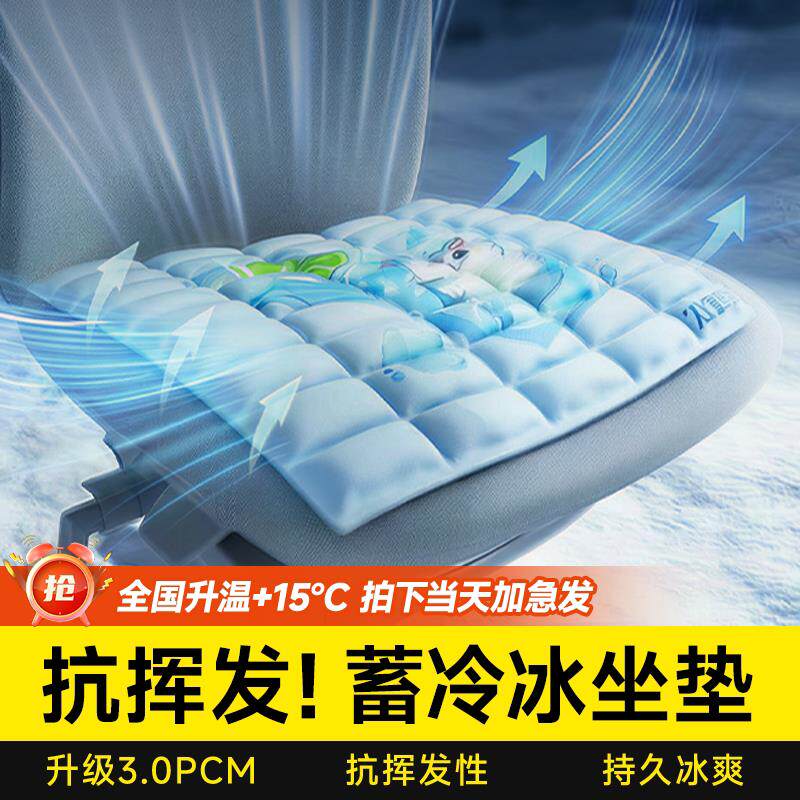 睿立森3.0PCM冰垫冰坐垫防褥疮抗挥发性冰凉垫免注水2026官方新款