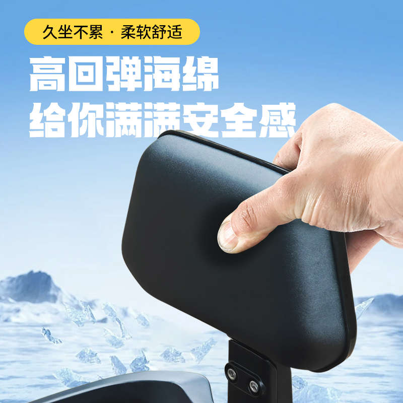 适用极核AE4/AE5后靠背ZEEHO电摩电自靠背支架电动车靠垫改装配件