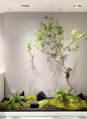 彷真绿色植物景观组合造景客厅美化布置装饰室内定制彷生植物大型