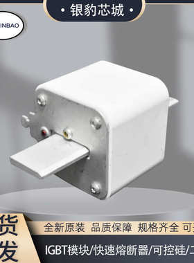 170m6019熔断器170m6020 全新现货170m6021170m6018保险丝