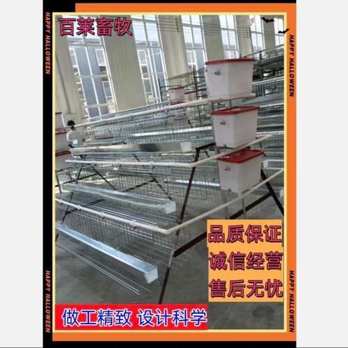 三层四门热镀锌阶梯蛋鸡笼耐腐蚀耐用商用阶梯蛋鸡笼层间错位