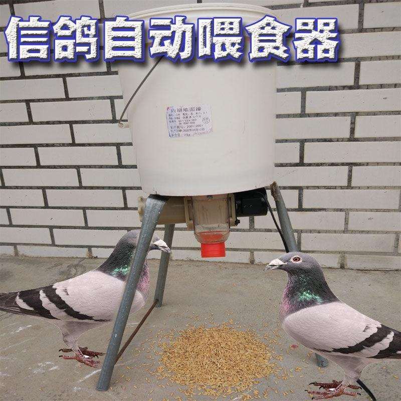 自动喂食机鸡鸽子定时喂鸡养殖鸡鸭全自动投远程投料机设备