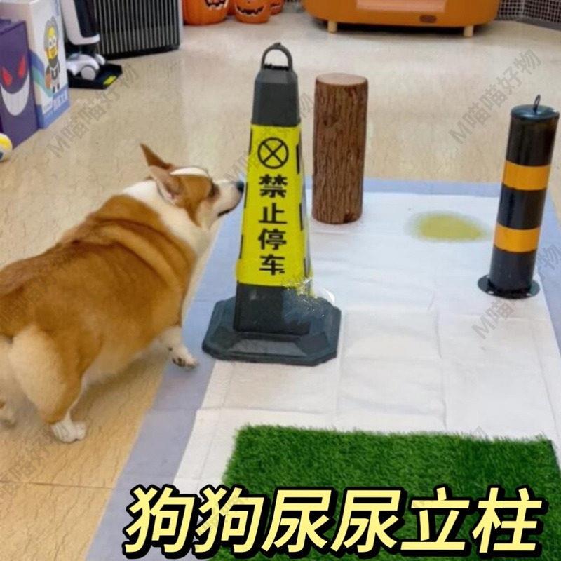 狗狗尿尿立柱公狗撒尿停车桩锥大号定点引导拉屎尿尿上厕所尿柱子