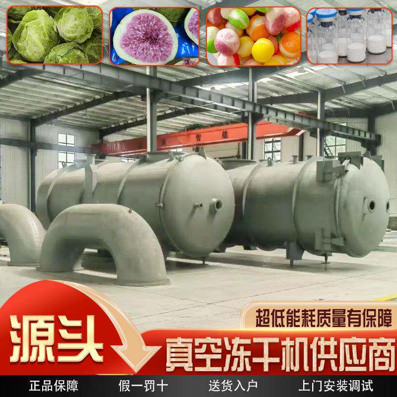真空冻干机厂家现货草莓蓝莓水果冻干加工设备低温脱水保鲜生产