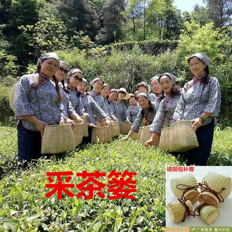 茶叶收纳筐摘茶叶的篓子手工竹背娄竹编采茶篓采茶专用篮子摄影