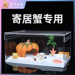 寄居蟹饲养箱套装套餐亚克力饲养盒沙蟹饲养缸造景全套生态缸箱