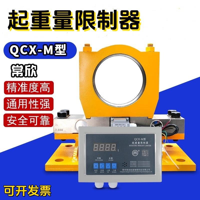 双梁行车起重量限制器常州QCX-M/2B/MB/B型仪表显示屏