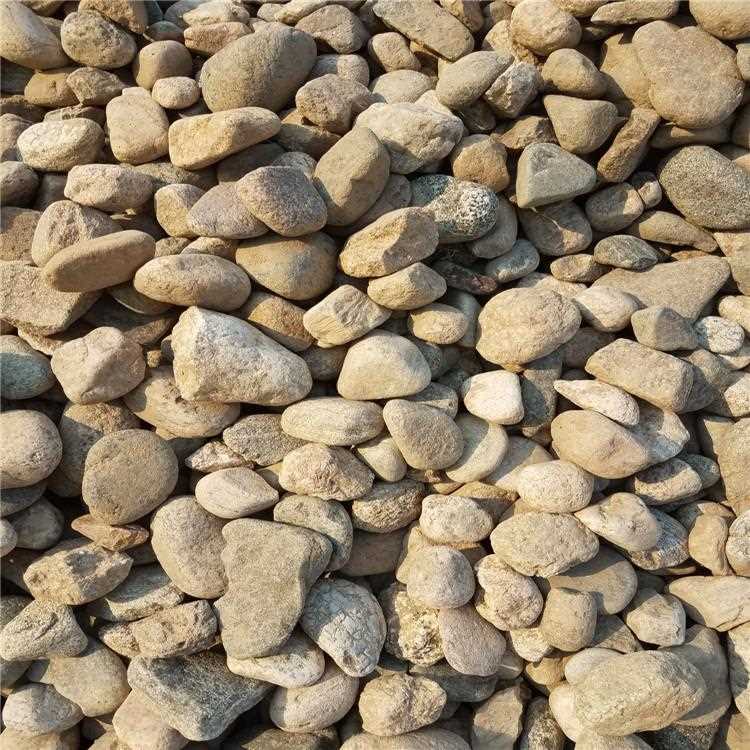 鹅卵石变压器滤油用5-8公分鹅卵石大量公园铺路假山用鹅卵石