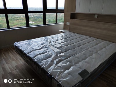 【不看后悔】:雅兰高端双层乳胶柏瑞诗床垫好吗?背部支撑够不够?