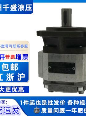 液压泵油泵PGH5-21 30/063 100 160 250 80RE11VU2/07VE4齿轮油泵