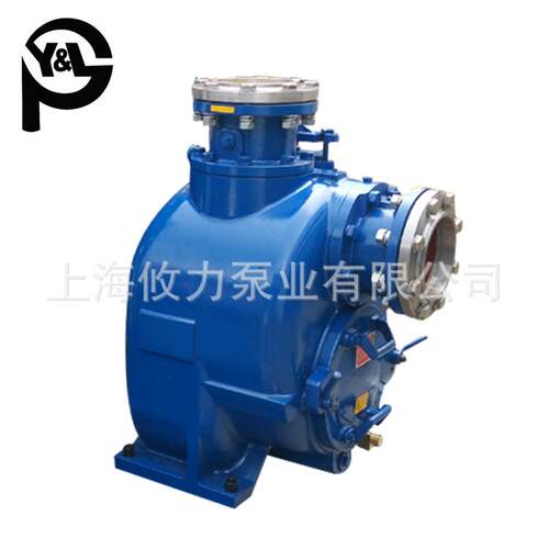 大流量卧式自吸离心泵头12寸DN300污水泵配电机柴油机自吸泵