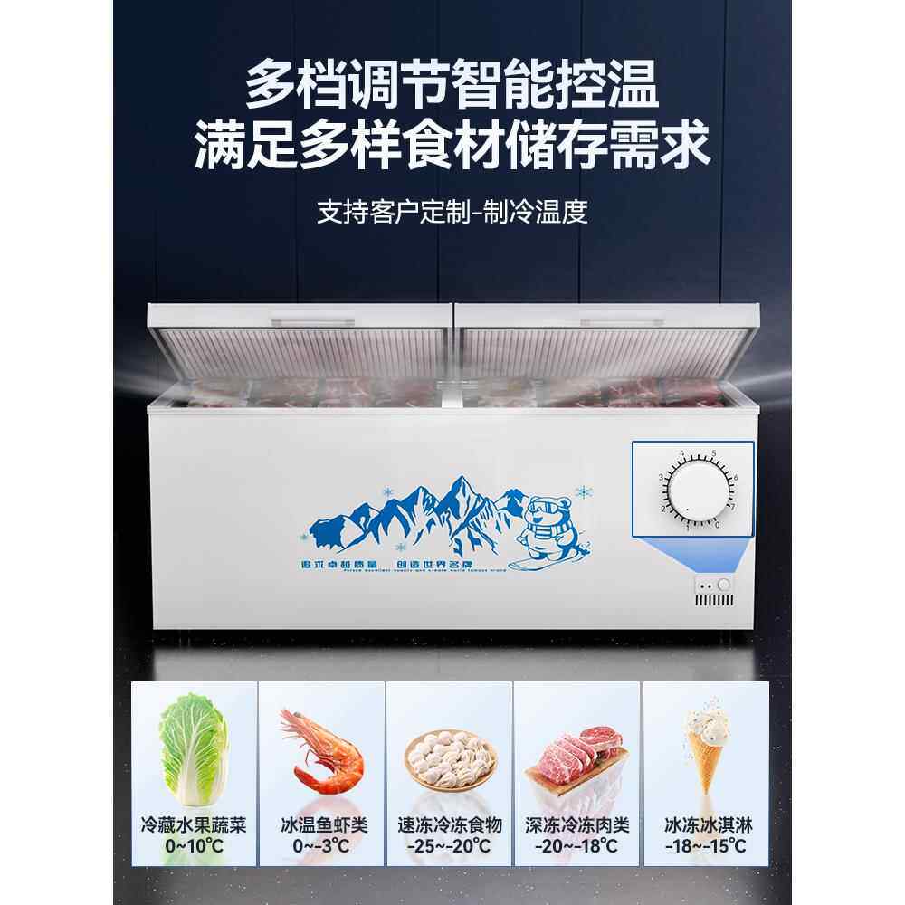 卧式商用大容量冰柜家用单温双温两用冷柜冷藏保鲜冷冻柜节能雪柜