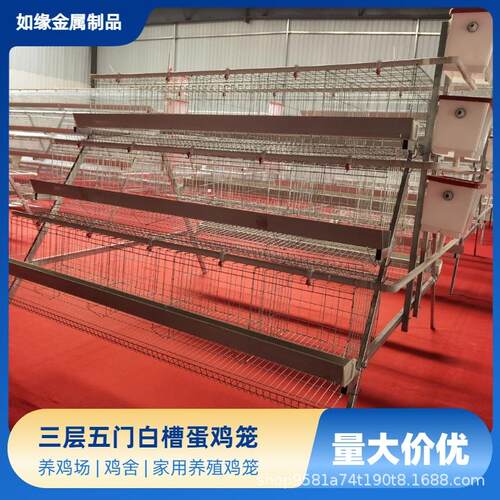 三层五门蛋鸡笼阶梯结构白槽喂食减少发病率高产蛋笼具阶梯蛋鸡笼