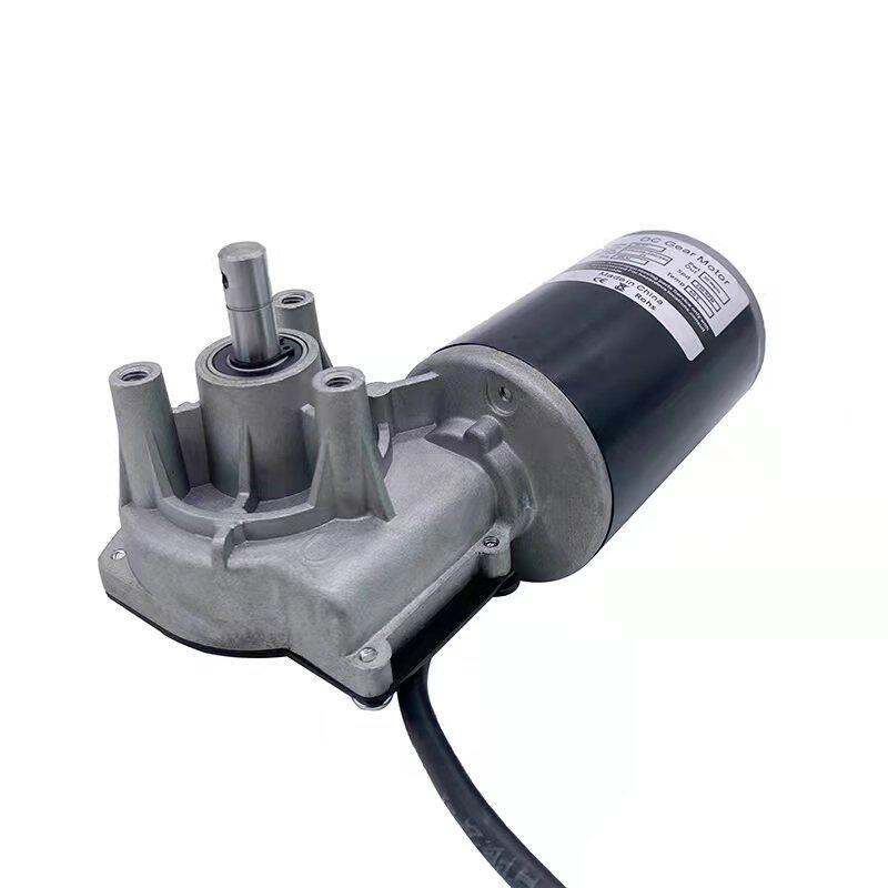 24V 电动升降电机蜗轮蜗杆永磁直流电机 正反转直流速电机 工厂