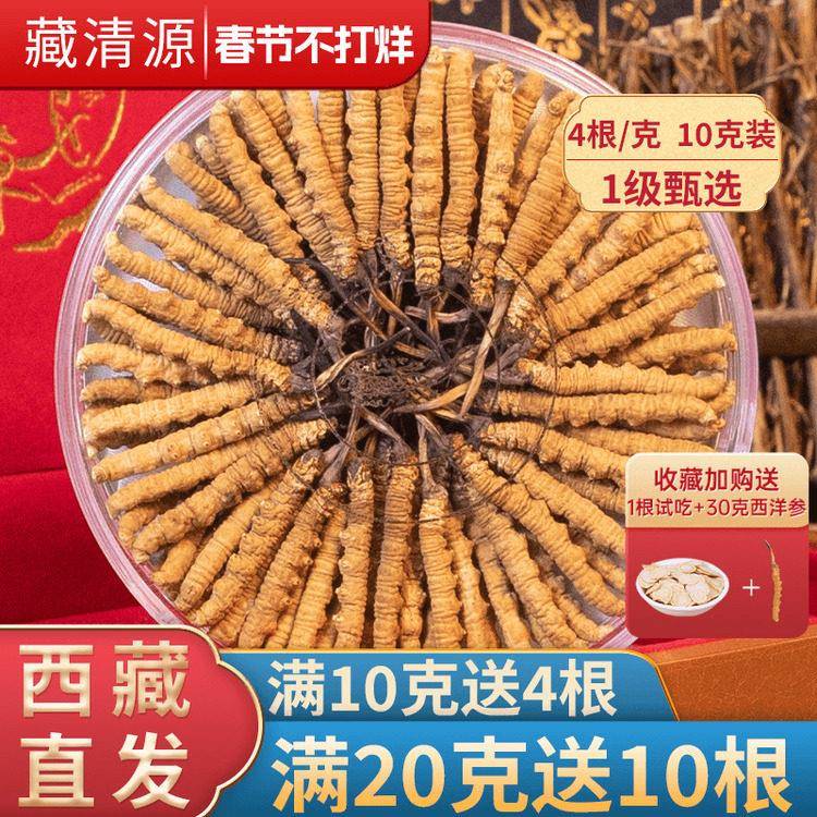 【正常发货】冬虫夏草官方经营店正品40根10克头期虫草50克礼盒装