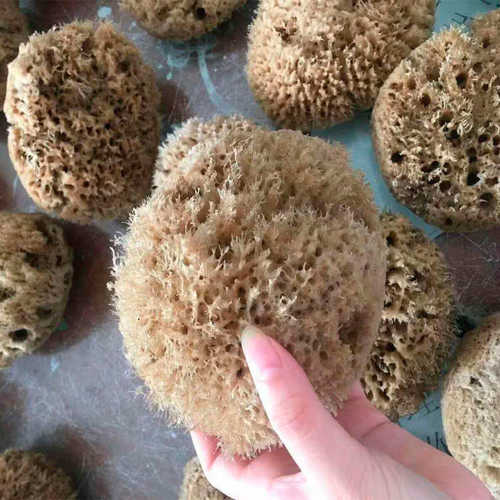 美轮美奂艺术涂料海藻拍海藻绵海藻滚筒艺术涂料厂家批发