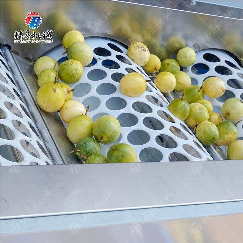 百980果加工百果清洗风干香分选生机产线 腾昇械 香农业加工 清洗,五金/工具,其他机械五金,淘宝优惠券,粉丝福利购,淘宝优惠卷