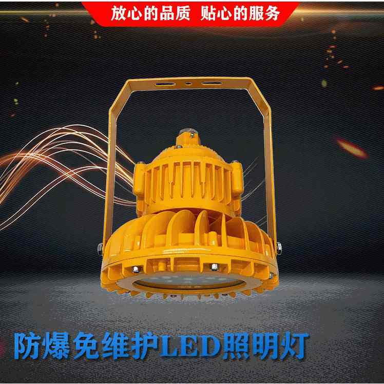 BAD63-30B1防爆免维护LED灯BAD63-60B1防爆LED灯30W50W60W100W