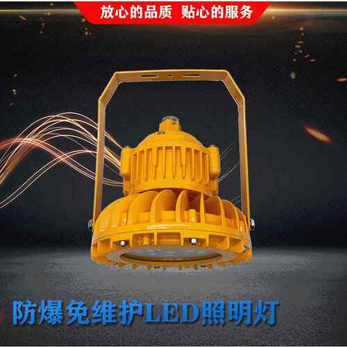 防爆免维护LED照明灯20W30W40W50W60W80W100W120W150WLED防爆灯
