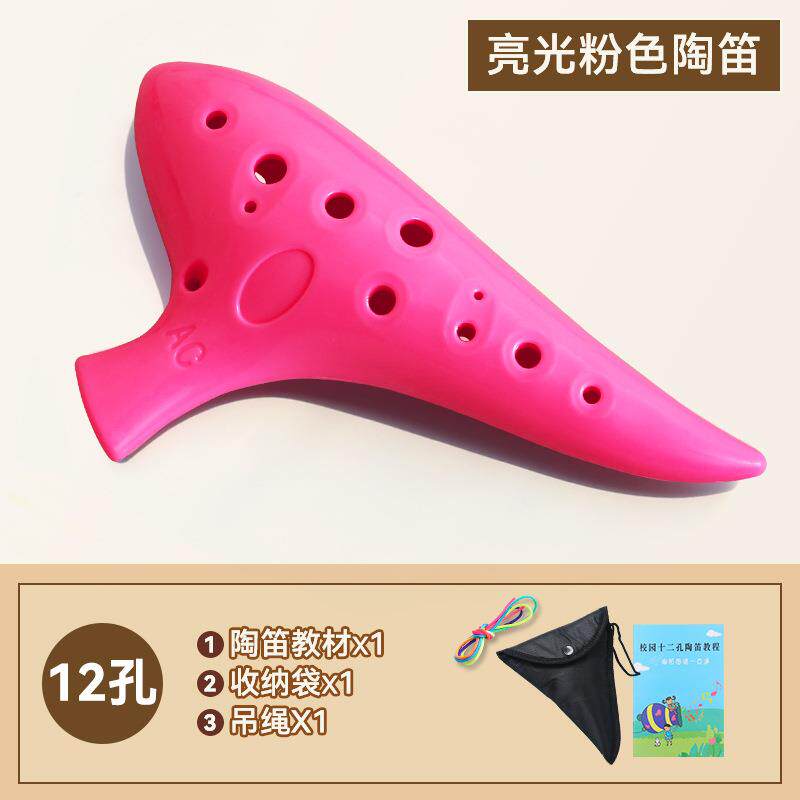 正品初中十二陶笛小学生音乐孔生课笛子初学者c专用12孔树脂塑料a