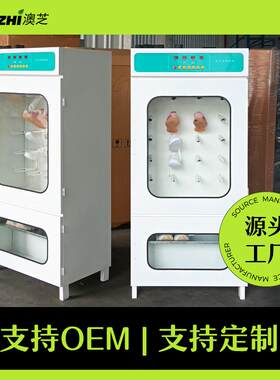 小型烘鞋机干洗店酒店用柜式全自动商用鞋子除臭烘干机干鞋器设备