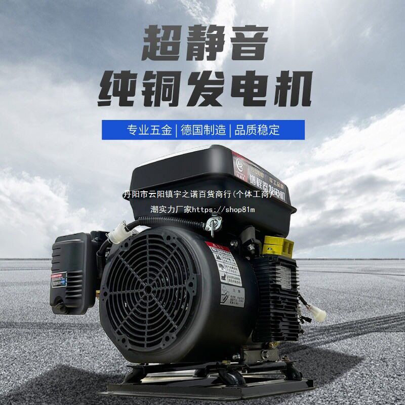 双隆程器48v60v72v电动两轮三轮四轮车轿车汽油发电机遥垒德株