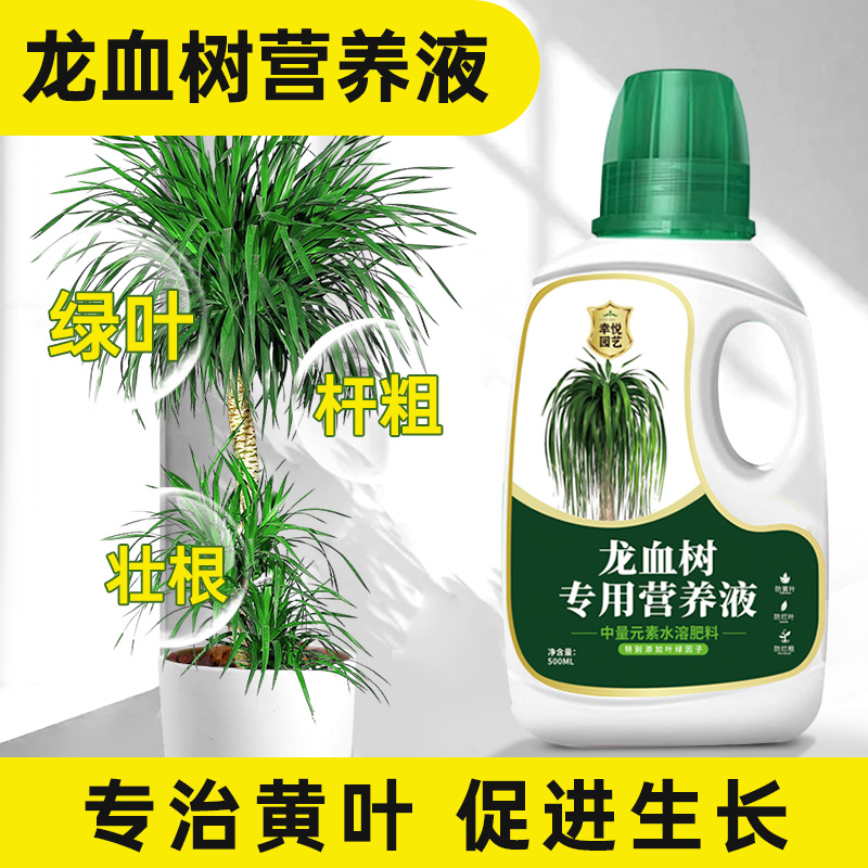 龙血树专用营养液叶子发黑金刚龙须树肥料花肥太空铁肥料盆栽通用
