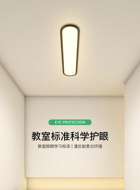 全光谱led吸顶灯简约现代阳台玄关过道灯走廊灯卧室灯创意客厅灯