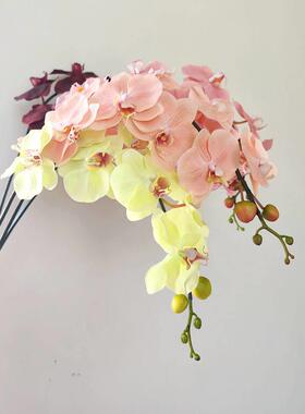 高档精品保湿手感肉粉色 蝴蝶兰 花艺师真花装饰假花材单枝