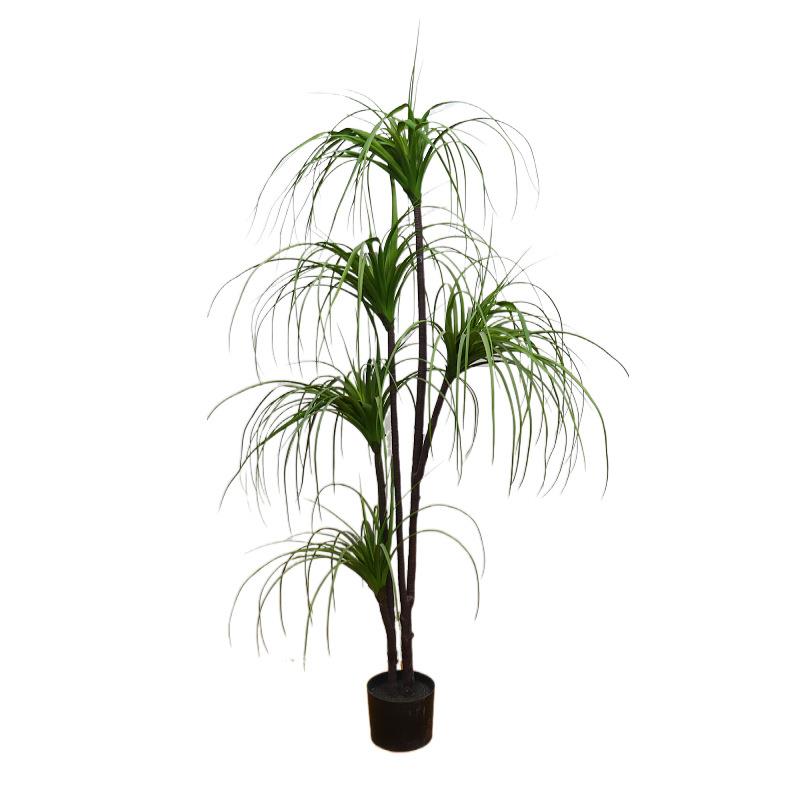 仿真龙血铁软装造景盆栽龙血树植物橱窗家居落地摆件绿植龙须铁