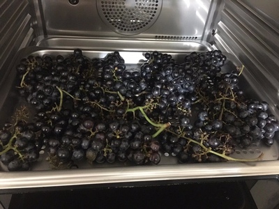 凯度蒸烤箱哪款好?用后一周讲真心话？