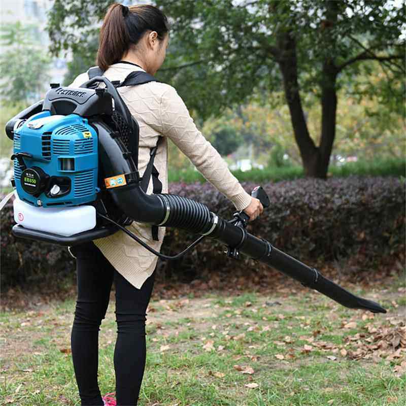 便携式手提大棚吹雪机850汽油吹风机多用途风力灭火机,农机/农具/农膜,植保机械,淘宝优惠券,粉丝福利购,淘宝优惠卷
